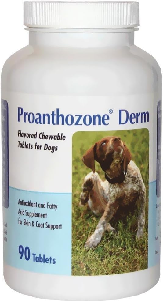 Derm for Dogs (90 Chew Tabs) – Skin and coat health: Essential nutrients may help maintain skin hydration and coat – Image 1
