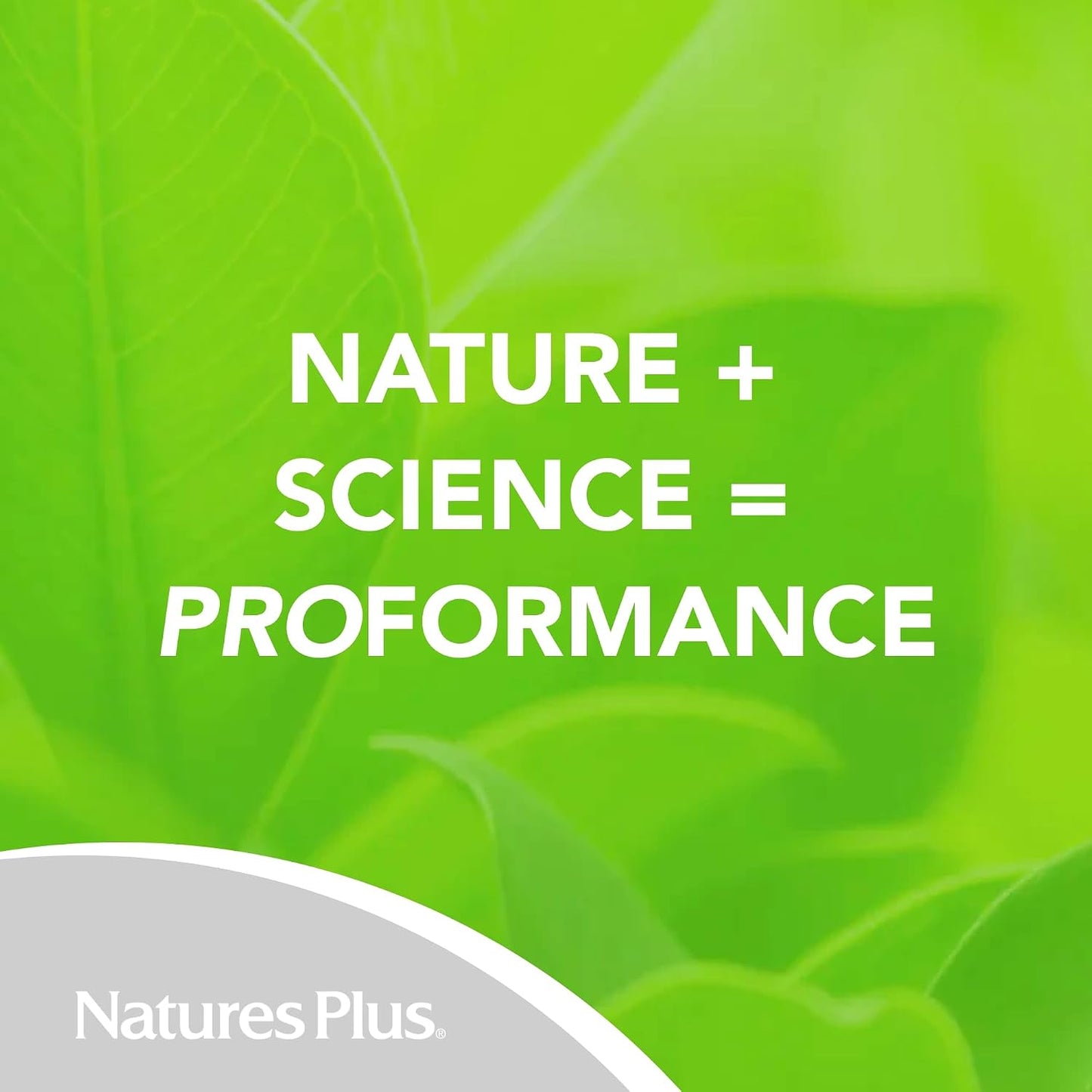 NaturesPlus PRO DIM 200 mg - 60 Capsules - Supports Healthy Estrogen Levels - Non-GM, Vegan & Gluten free - 30 Servings - görsel 6