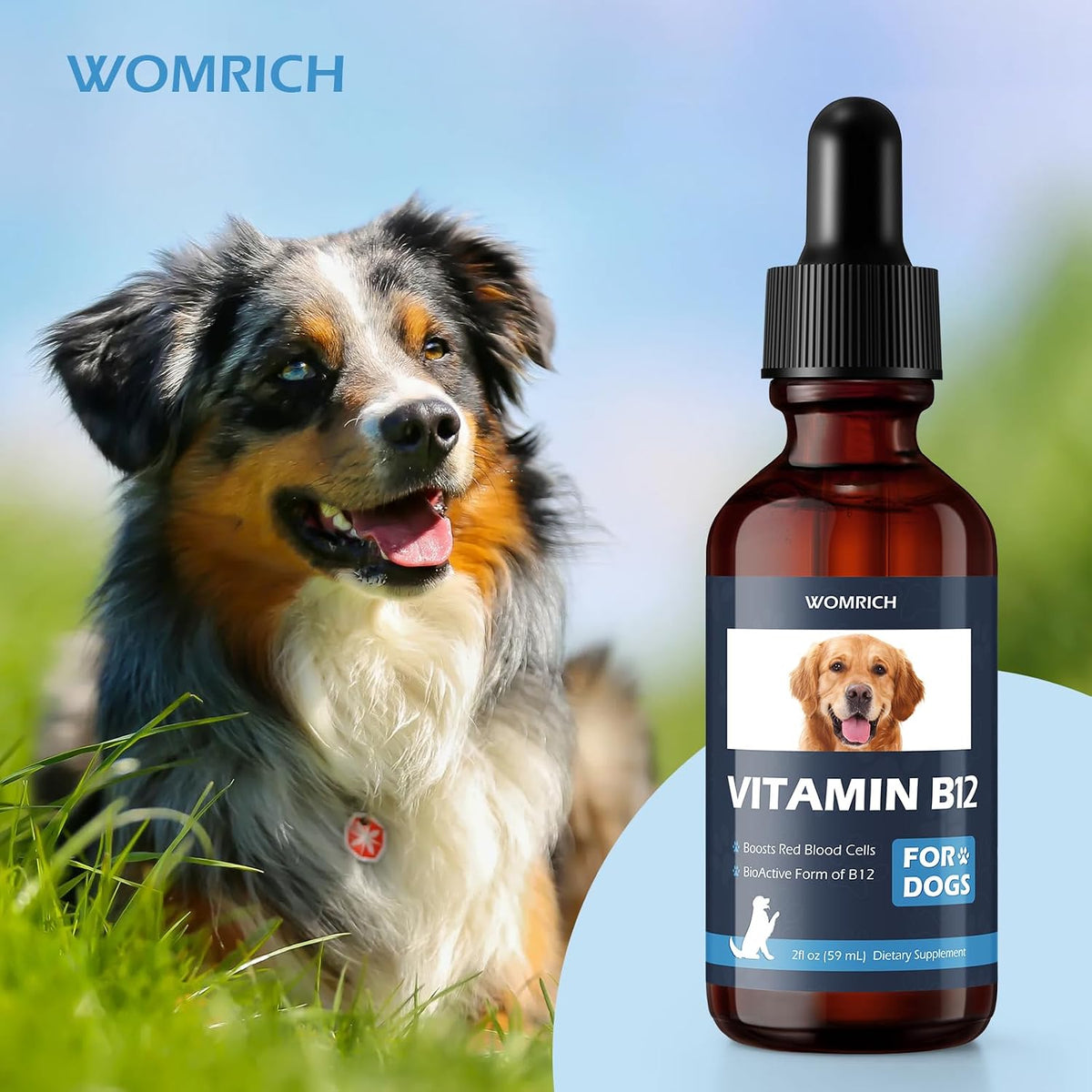 Appetite Stimulant Vitamin B12 for Dogs | – Supports appetite and digestion – Helps stimulate a healthy appetite – Image 6
