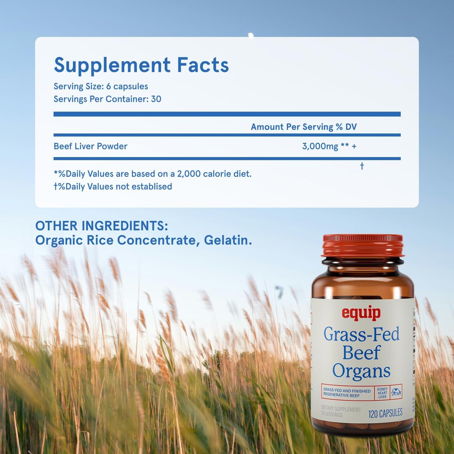 Equip Grass-Fed Beef Organs - Regenerative Freeze Dried Liver, Kidney & Heart Capsules - görsel 5