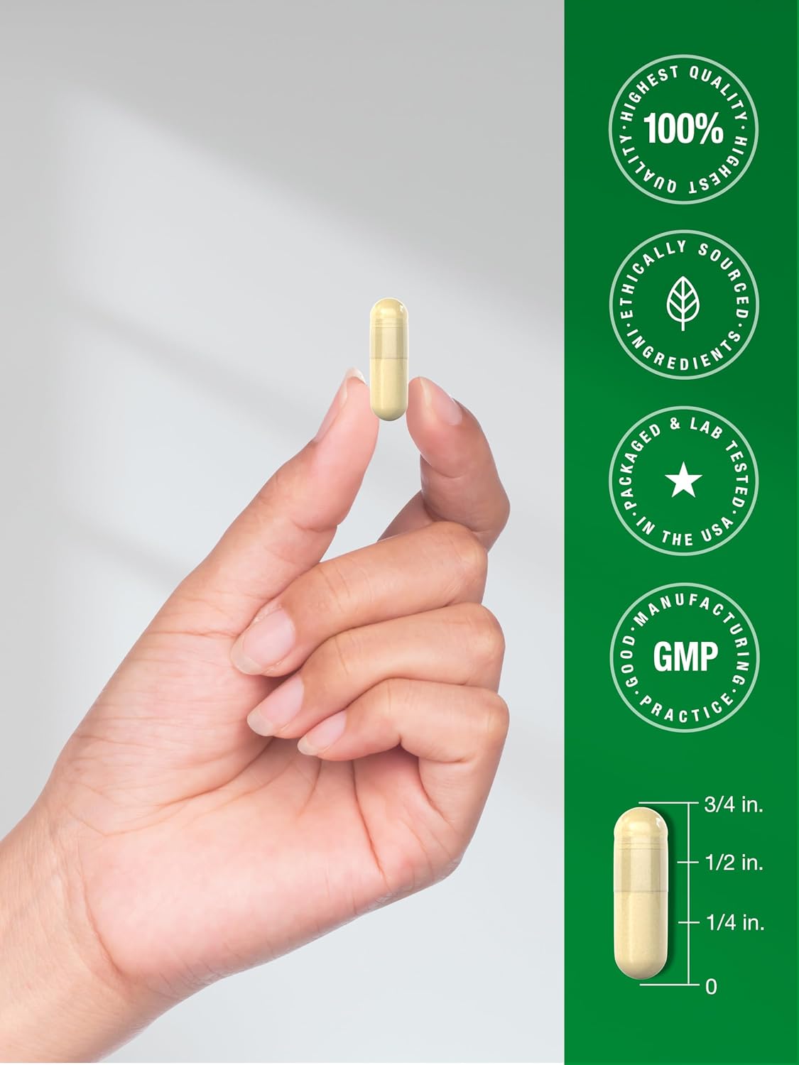 Horbäach Turkey Tail Mushroom Capsules | 120 Capsules | Non-GM and Gluten free Extract - görsel 7