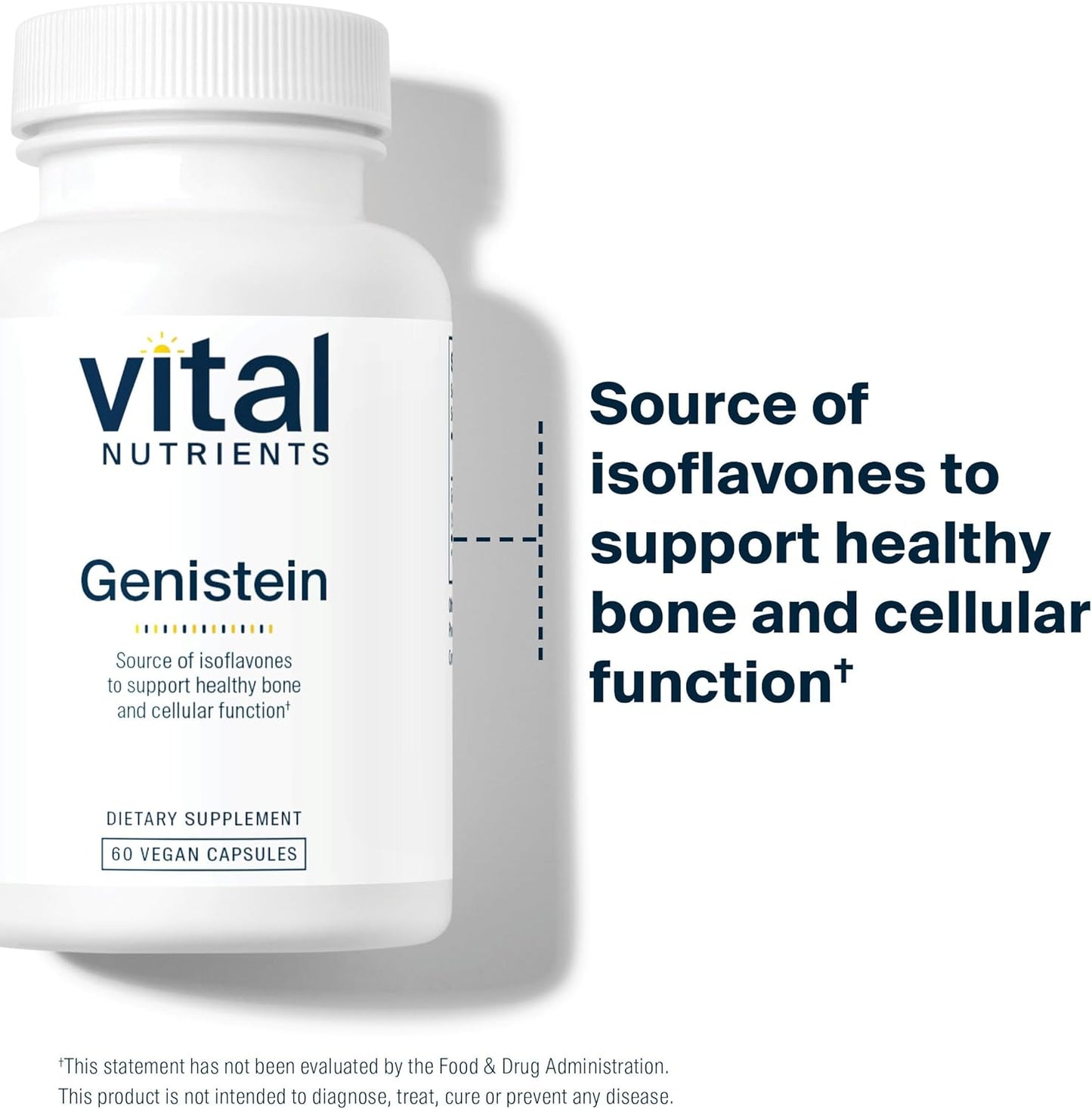 Vital Nutrients Genistein – Easily Absorbed Isoflavones for Bone Health Support – Vegan, Non-GMO, Gluten & Dairy Free – 60 Capsules - görsel 6