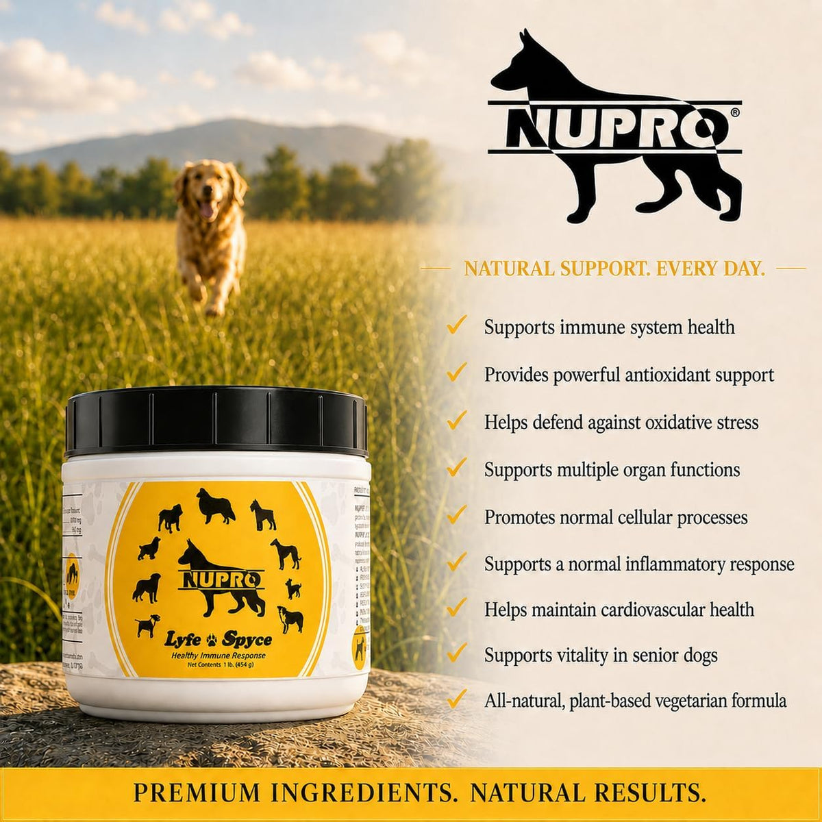 Nupro Lyfe Spyce Healthy Immune Response - Antioxidant Supplement for Dogs, 0.45 kg – Image 7