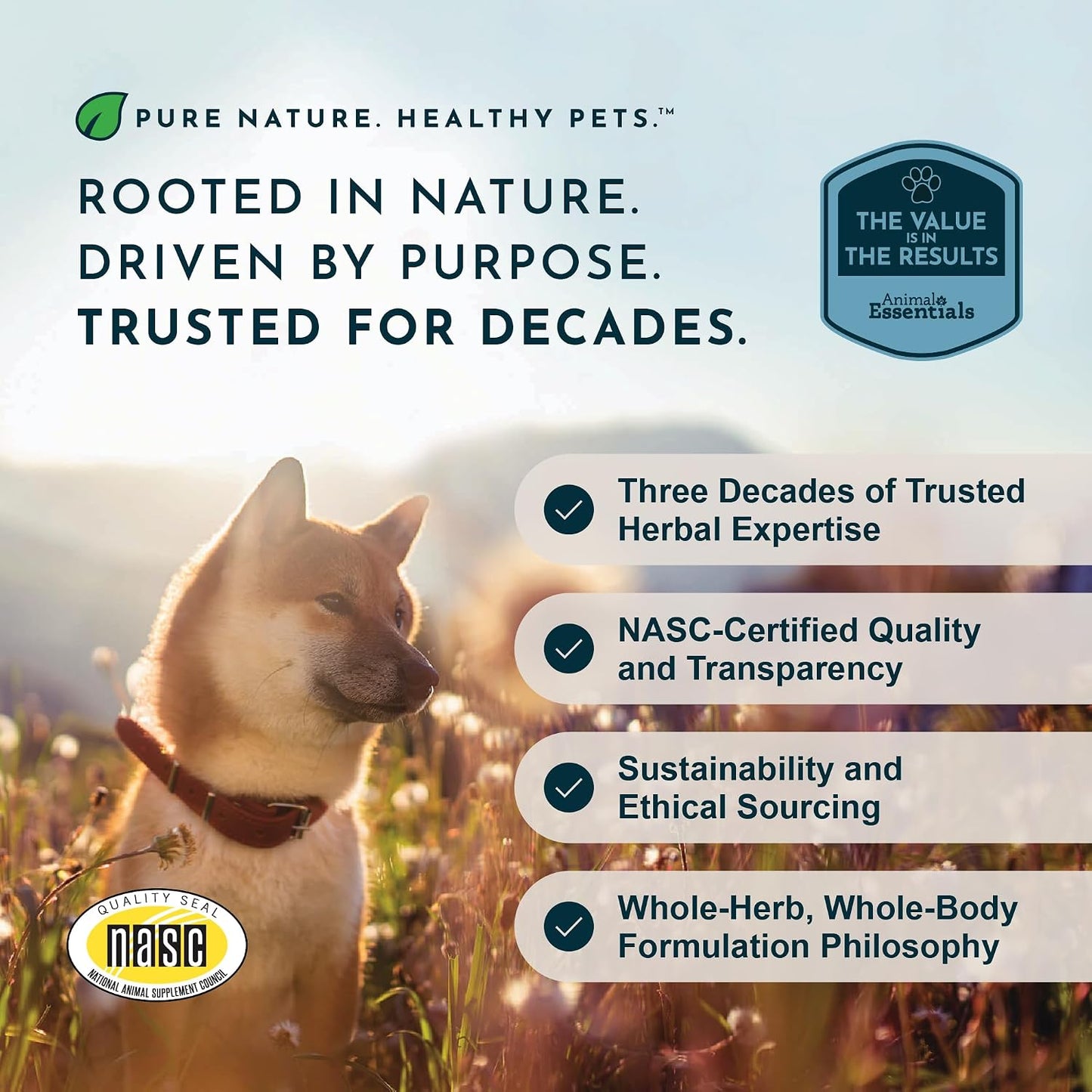 Animal Essentials Organic Slippery Elm Bark Liquid Extract for Dogs and Cats - Digestive & Throat Support - 2 fl oz - görsel 8