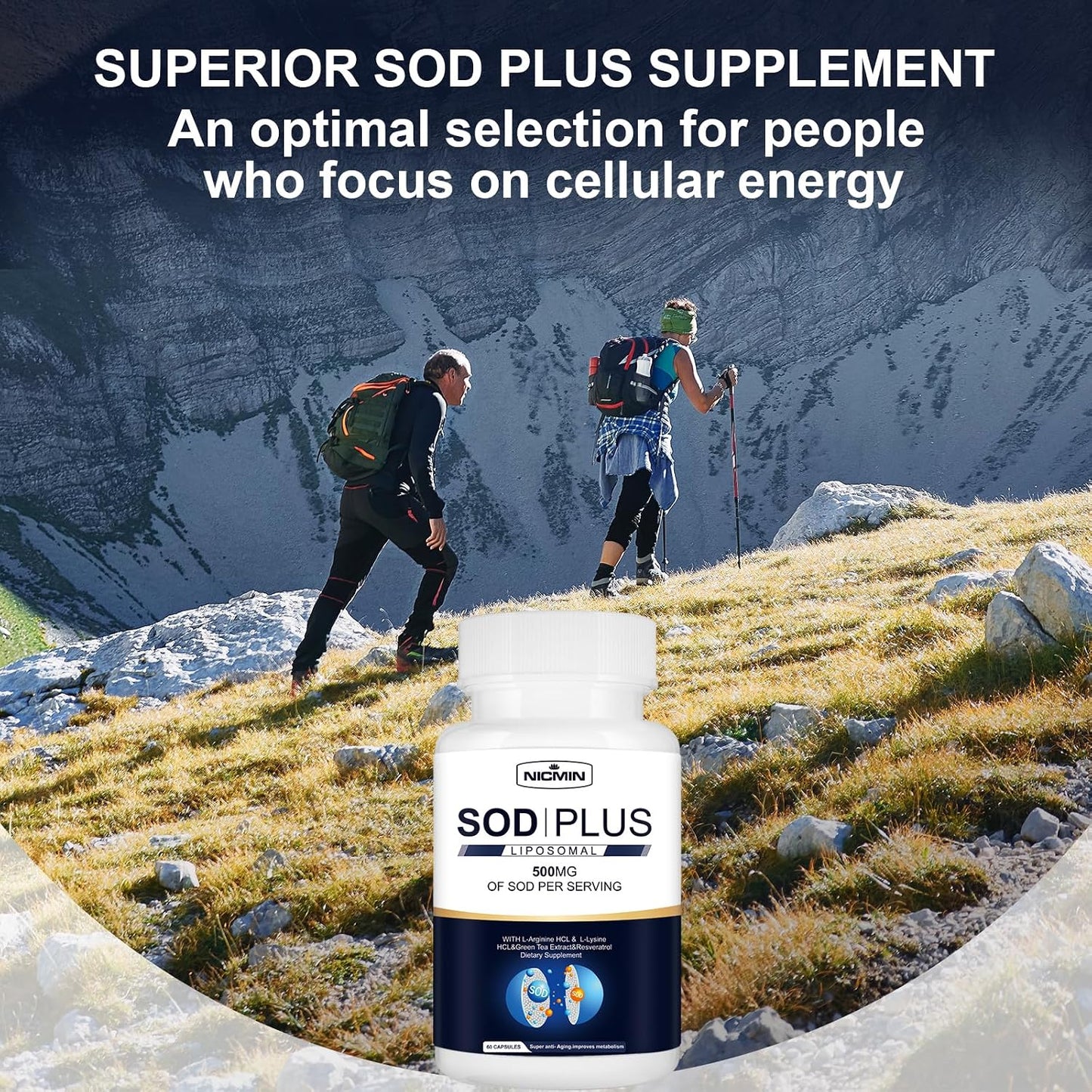 NICMIN SOD Plus 500mg – Liposomal Superoxide Dismutase with Glutathione, AKG, Green Tea Extract, L-Arginine, Lysine, Resveratrol & Vitamin E – Antioxidant Support, 120 Capsules - görsel 6