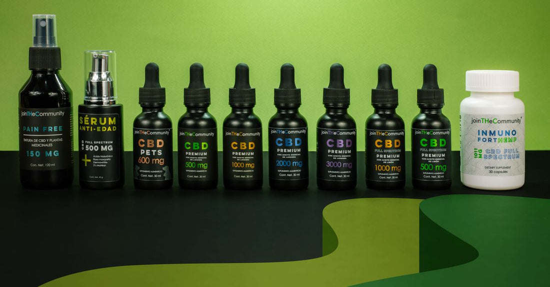An assortment of everyday vitamins and supplement bottles arranged on a light surface, representing a buying guide selection.