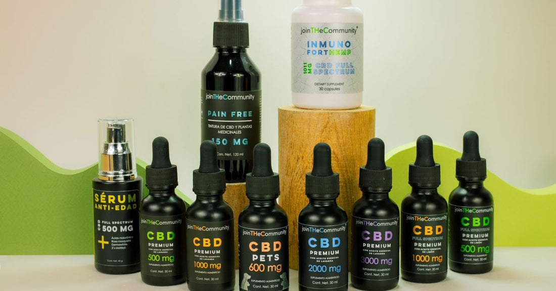 Assorted everyday vitamins and supplements bottles arranged on a clean surface, representing a 2026 buying guide selection.