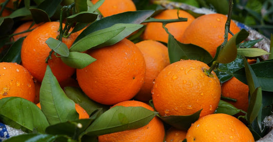 HALLS Defence Vitamin C drops assorted citrus sugar free pack on a white background for review