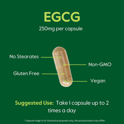 BESTVITE EGCG 250mg (120 Vegetarian Capsules)