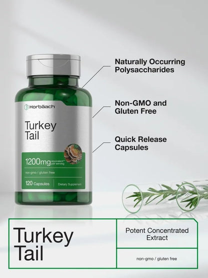 Horbäach Turkey Tail Mushroom Capsules | 120 Capsules | Non-GM and Gluten free Extract