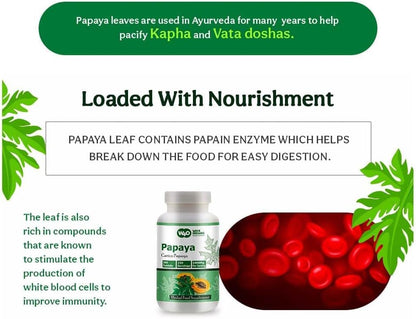 WAY 4 ORGANIC W4O Papaya Leaf Extract Tablets - 1000 mg, 300 Count (150 Servings) - Supports Digestion and Immunity