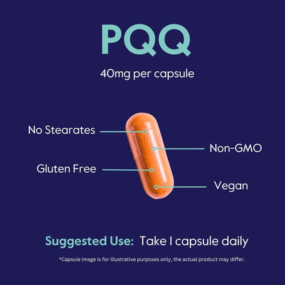 BESTVITE PQQ 40mg (Pyrroloquinoline Quinone) – 120 Vegetarian Capsules – Mitochondrial Support