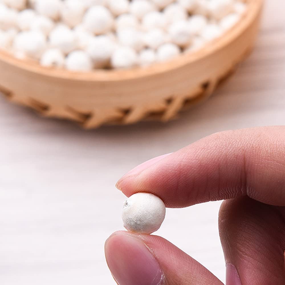 Euryale Ferox (Fox Nut) Seeds – Pure Gorgon Fruit (500g) - görsel 4