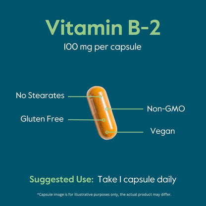 BESTVITE Vitamin B-2 (Riboflavin) 100mg - 240 Vegetarian Capsules