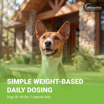 Vetoquinol Triglyceride Omega - Fish Oil for Dogs and Cats - 250 Softgels