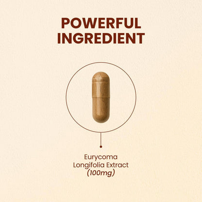 CHOQ Tongkat Ali Extract 100 mg – LJ100 Longjack with 40% Glycosaponins, 30 Vegan Capsules