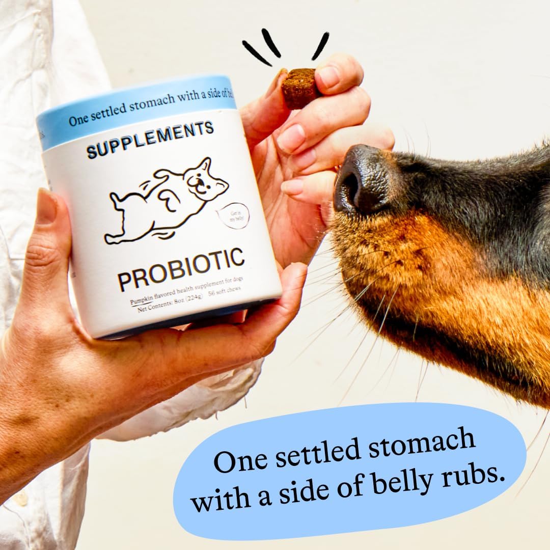 Spot & Tango Probiotics Supplements for Dogs - Vet-Approved for Healthy Digestion and Balanced Gut - Pumpkin, Turmeric, – Image 4