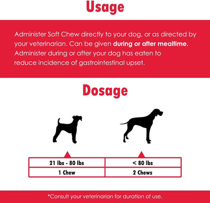 CobalaVet Vitamin B12 & B9 for Small Dogs & Cats – Supports the Nervous System, Brain Function, Immune Defence & Cell Growth – Blood Cell Formation – Metabolic Pathway – Liquid Supplement