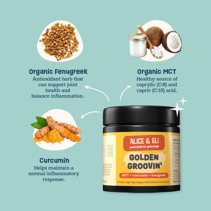 Alice & Eli Golden Groovin' Turmeric for – Made in the USA with GMP Compliance: Manufactured in Texas, this – Image 4