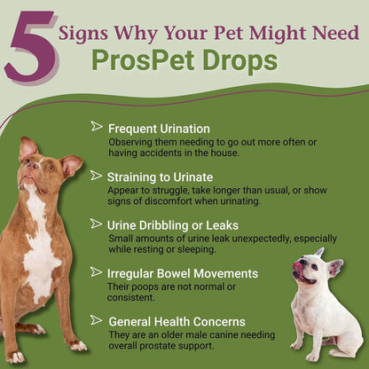 PetAlive ProsPet Drops – Herbal Supplement for Dog Prostate, Bladder and Urinary Support