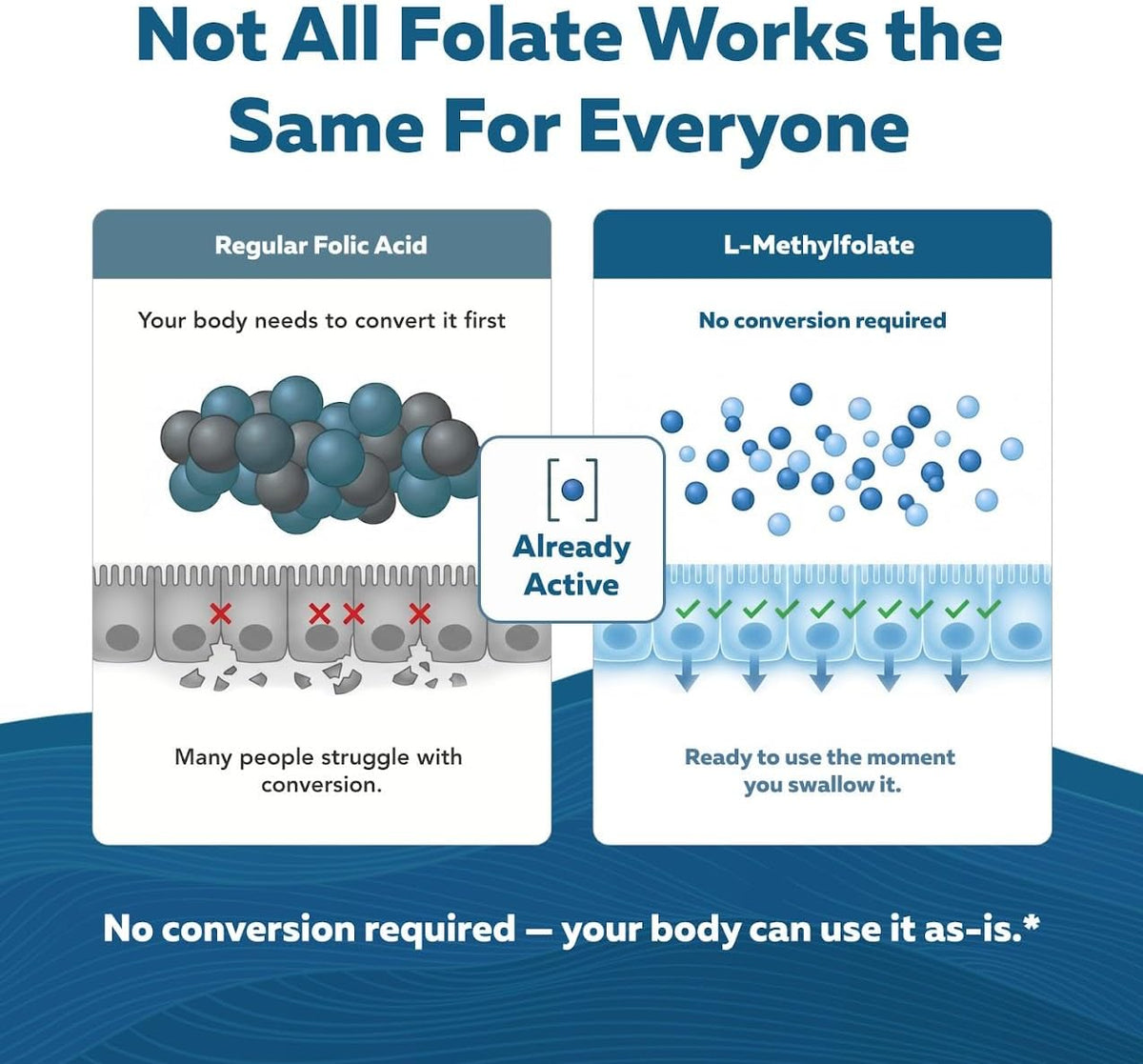 L-Methylfolate 7.5mg with Methyl B12 – Active 5-MTHF for MTHFR Support – Image 3