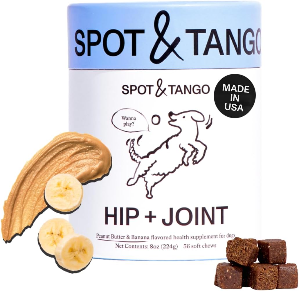 Spot & Tango Probiotics Supplements for Dogs - Vet-Approved for Healthy Digestion and Balanced Gut - Pumpkin, Turmeric, – Image 7