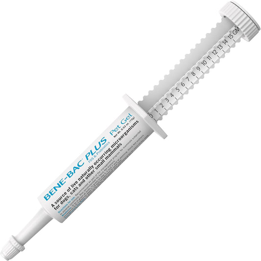 PetAg Bene-Bac Plus Pet Gel (15 g Syringe) - FOS & Probiotics for Dogs, Cats, and Exotic Mammals – Image 1