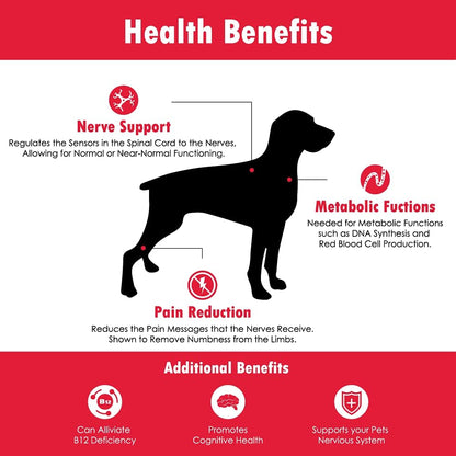 CobalaVet Vitamin B12 & B9 for Small Dogs & Cats – Supports the Nervous System, Brain Function, Immune Defence & Cell Growth – Blood Cell Formation – Metabolic Pathway – Liquid Supplement