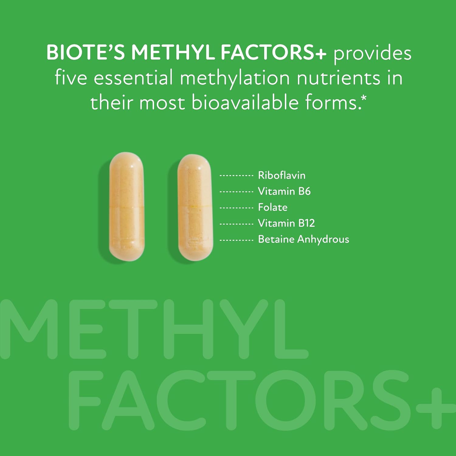 Biote Nutraceuticals - Methyl Factors+ - Circulation + Mood (90 Capsules) - görsel 3