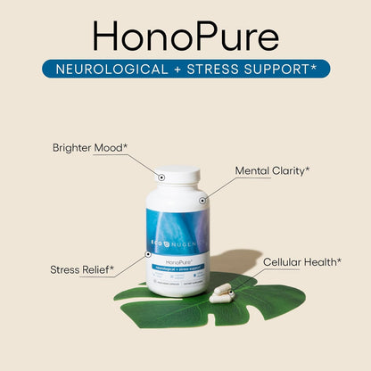 EcoNugenics HonoPure – 120 Capsules – Neurological Support: Honokiol crosses the blood-brain barrier, helping – Image 2