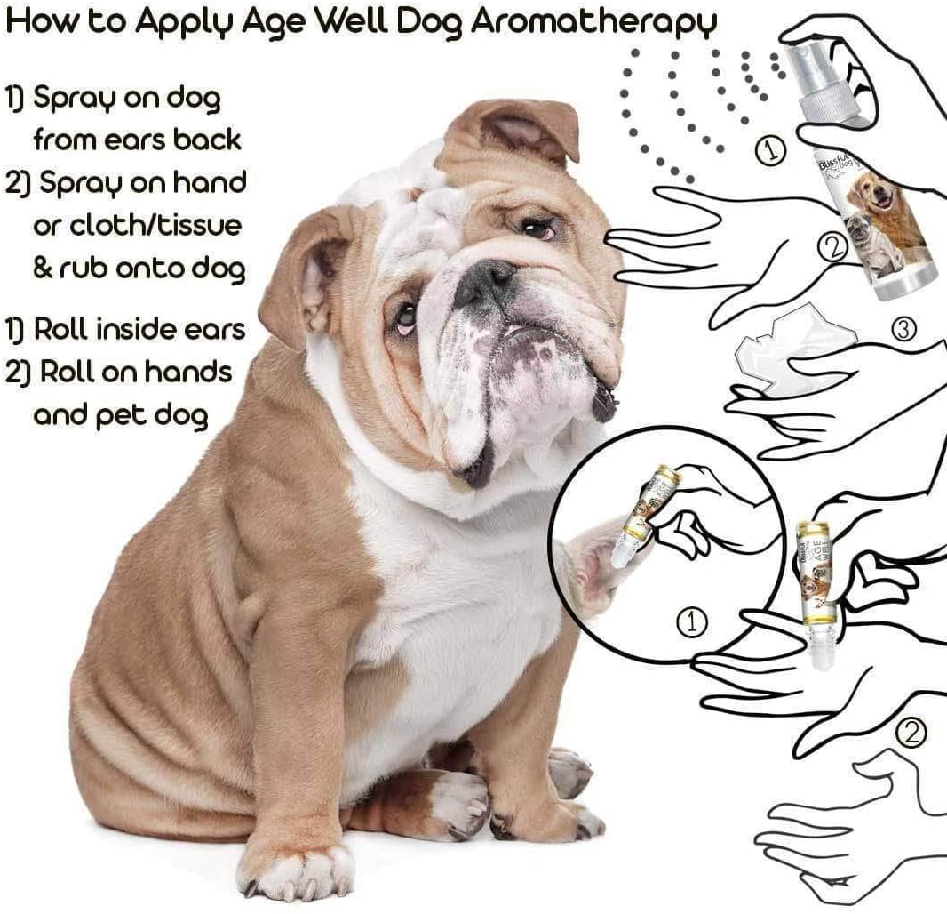 The Blissful Dog Bulldog Age Well Dog Aromatherapy Roll-On Bottle for Your Dog's Peaceful Ageing - görsel 4