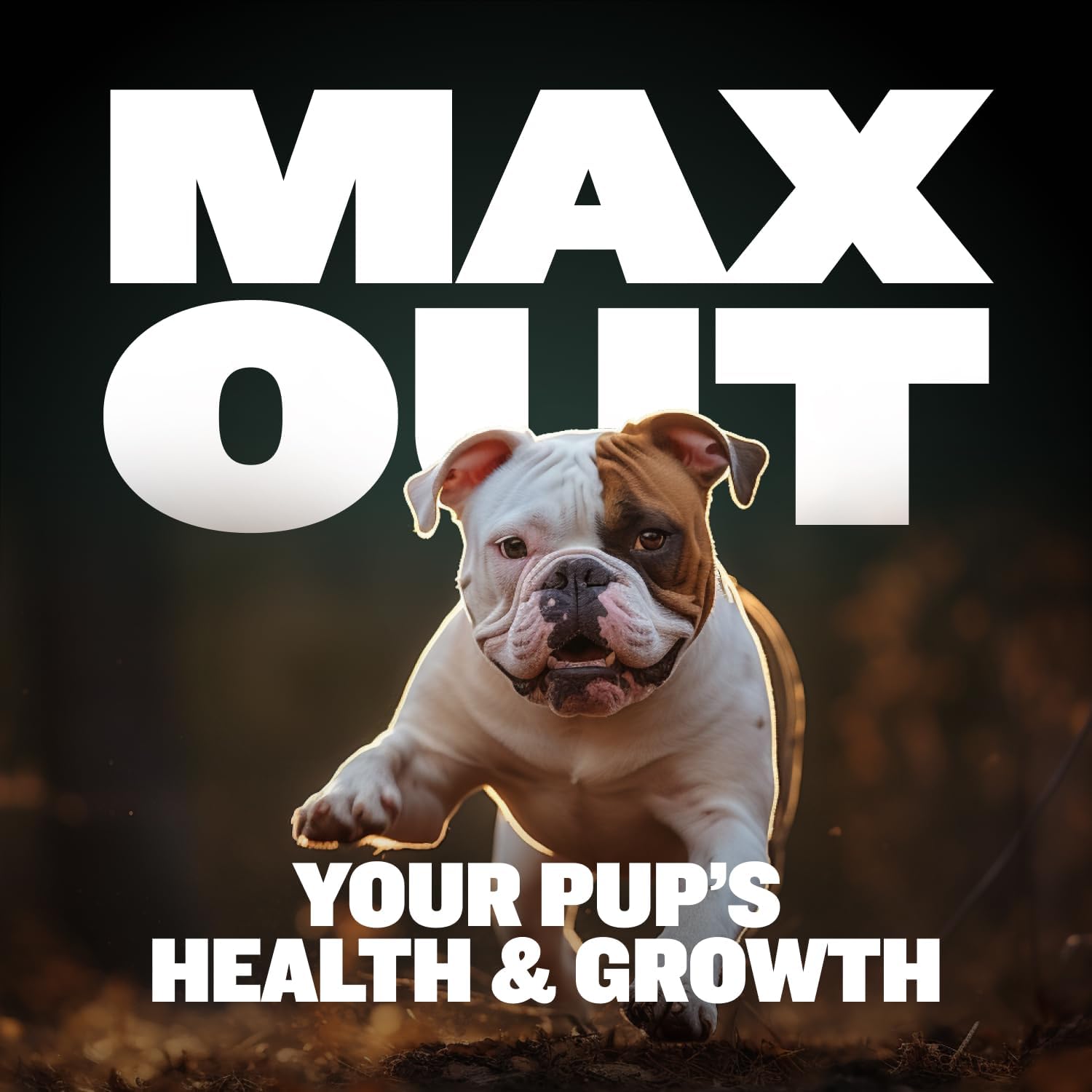 Bully Max 2-in-1 Puppy Vitamins – 75 Soft Chews for Immunity & Growth - görsel 4