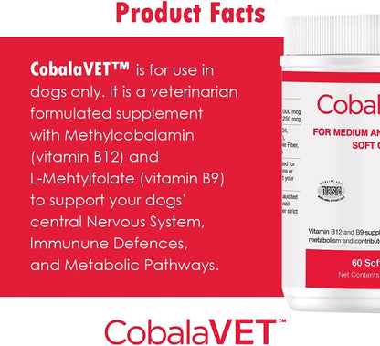 CobalaVet Vitamin B12 & B9 for Small Dogs & Cats – Supports the Nervous System, Brain Function, Immune Defence & Cell Growth – Blood Cell Formation – Metabolic Pathway – Liquid Supplement