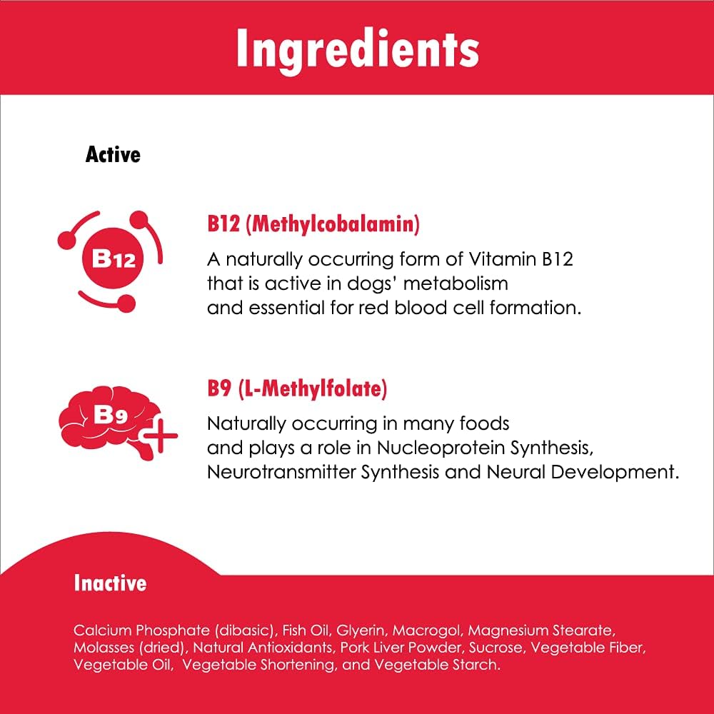 CobalaVet Vitamin B12 & B9 for Small Dogs & Cats – Supports the Nervous System, Brain Function, Immune Defence & Cell Growth – Blood Cell Formation – Metabolic Pathway – Liquid Supplement - görsel 8
