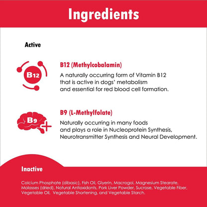 CobalaVet Vitamin B12 & B9 for Small Dogs & Cats – Supports the Nervous System, Brain Function, Immune Defence & Cell Growth – Blood Cell Formation – Metabolic Pathway – Liquid Supplement