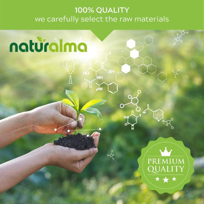 Naturalma Chaste Tree (Vitex Agnus-castus) Fruit Alcohol-Free Tincture - 118 ml Liquid Extract Drops