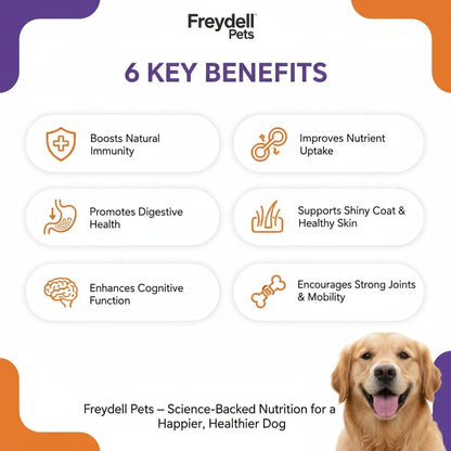 Freydell Pets 10-in-1 Multivitamin Dog Supplement – Glucosamine & Chondroitin Joint Support, Probiotics for Gut Health, Omega Fish Oil Skin & Coat, Immune & Allergy Support Vitamins (120 Chews)