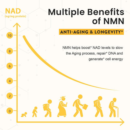Enprotess Sublingual NMN 500mg Lozenges – 240 Count (240-Day Supply)