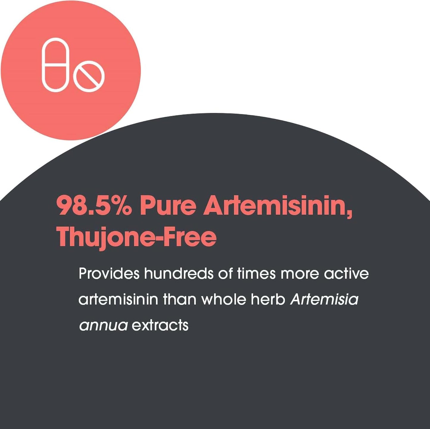 Artemisinin 200 mg – Sweet Wormwood Extract – 300 Capsules - görsel 7
