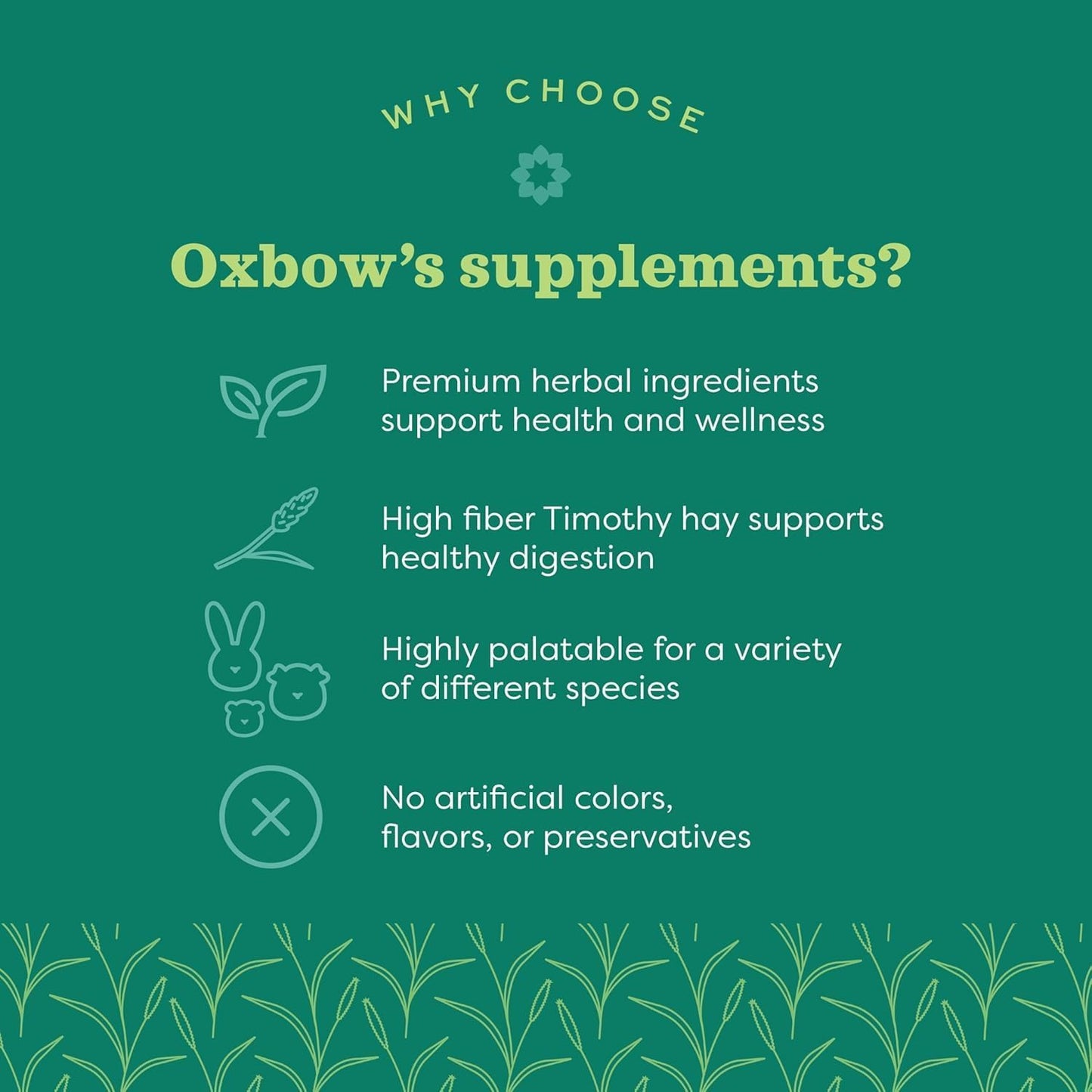 Oxbow Natural Science Vitamin C Supplement for Guinea Pigs, Rabbits & Chinchillas - 4.2 oz (6 Pack) - görsel 4