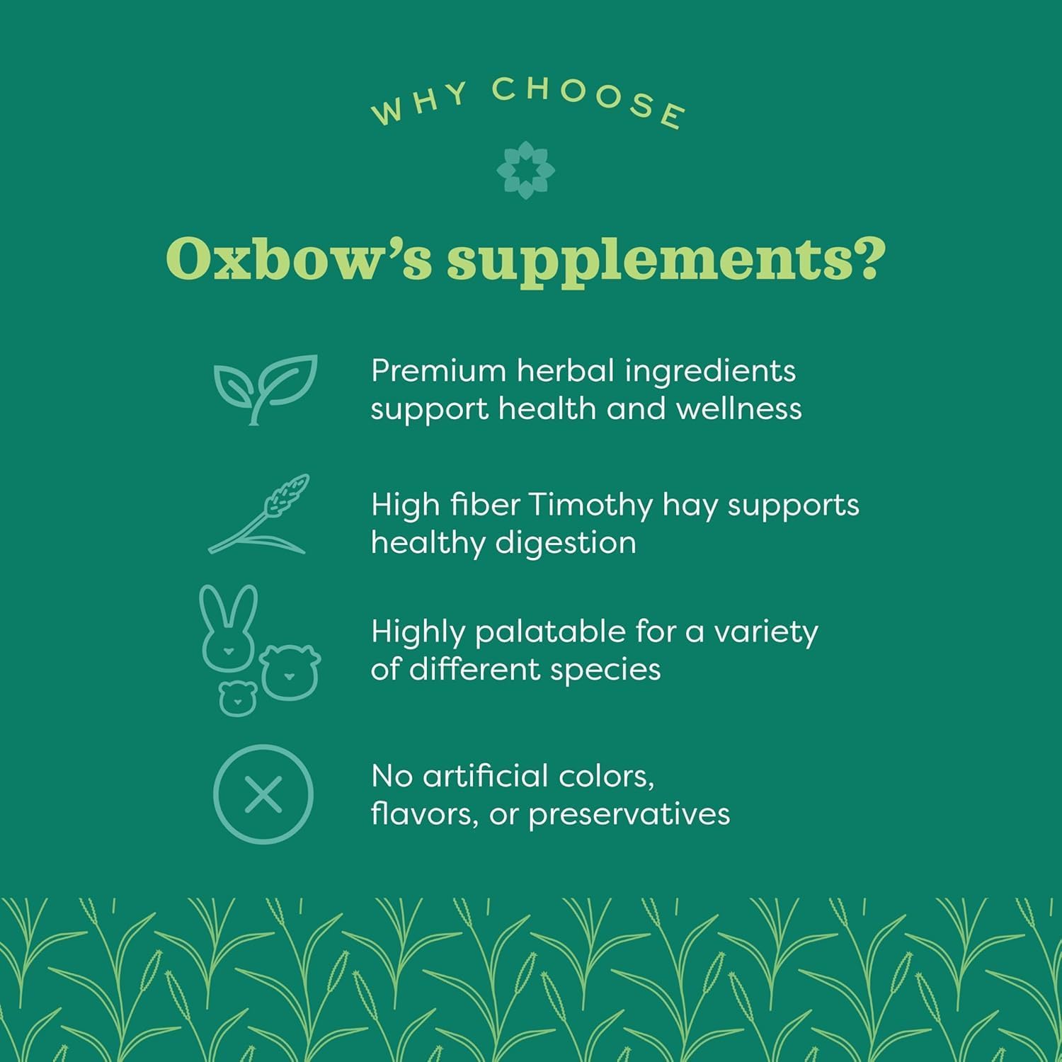 Oxbow Natural Science Vitamin C Supplement for Guinea Pigs, Rabbits & Chinchillas - 4.2 oz (6 Pack) - görsel 4