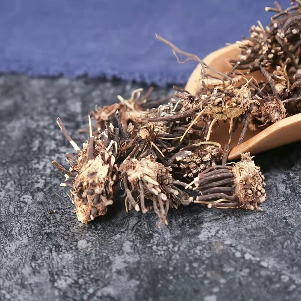 Clematis Chinensis Root (Weilingxian) - 250g - görsel 3