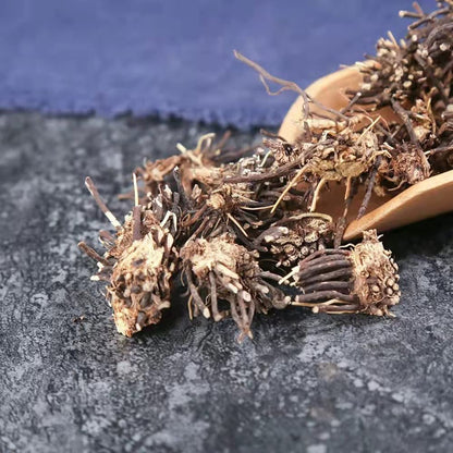 Clematis Chinensis Root (Weilingxian) - 250g