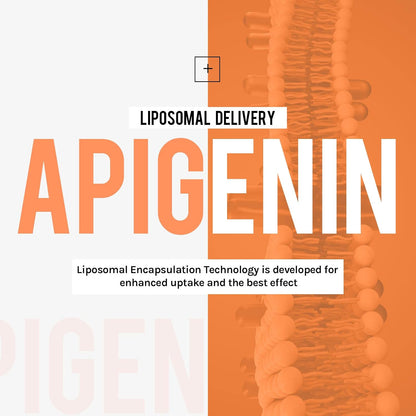 Cenffitio Liposomal Apigenin 500mg - with Fisetin, Quercetin & Theaflavins - 60 Softgels