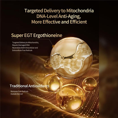 SUPER-SYN L-Ergothioneine 50mg – Ultra-Pure – Skin Integrity: EGT accumulates in skin cells, where it may help – Image 3