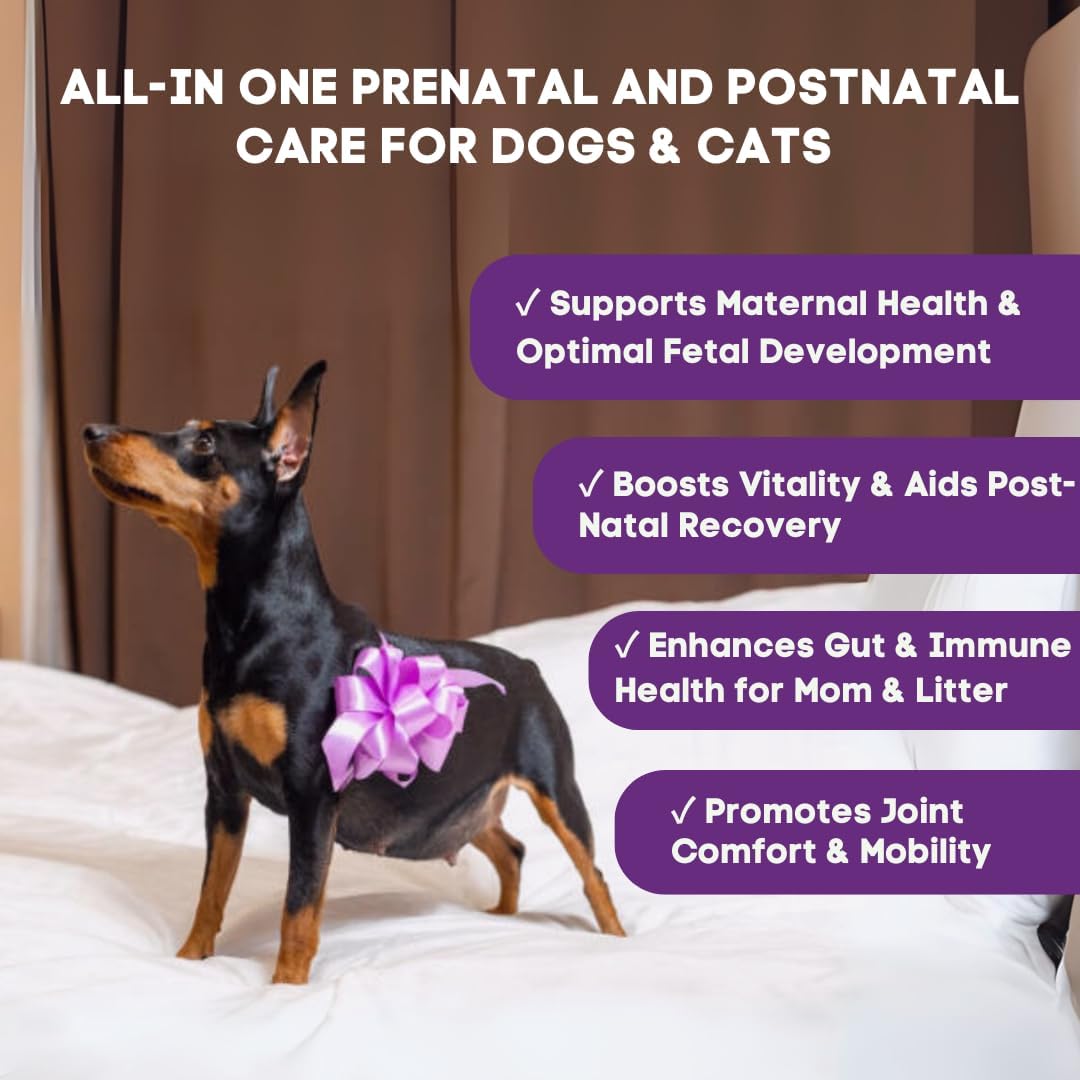 Prenatal Vitamins for Dogs & Cats – Pre & Postnatal Supplement with Probiotics, Glucosamine, MSM, CoQ10, & Essential – Image 2