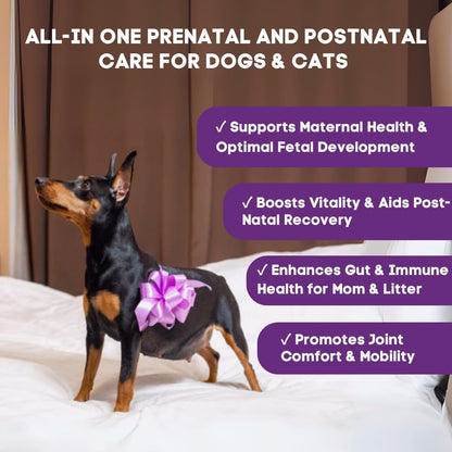 Prenatal Vitamins for Dogs & Cats – Pre & Postnatal Supplement with Probiotics, Glucosamine, MSM, CoQ10, & Essential – Image 2