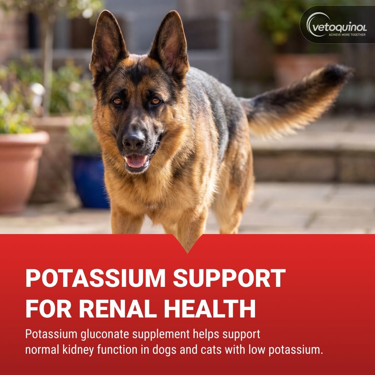 Vetoquinol Renal K - Potassium Supplement Powder for Dogs & Cats - Supports Kidney Health - 100 g - görsel 2