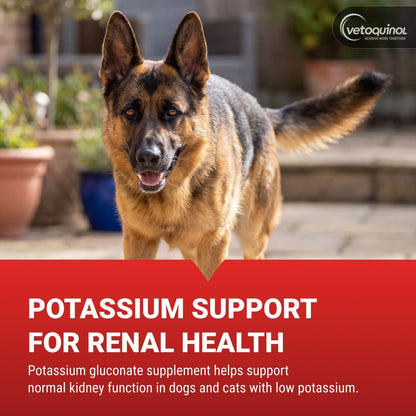 Vetoquinol Renal K - Potassium Supplement Powder for Dogs & Cats - Supports Kidney Health - 100 g