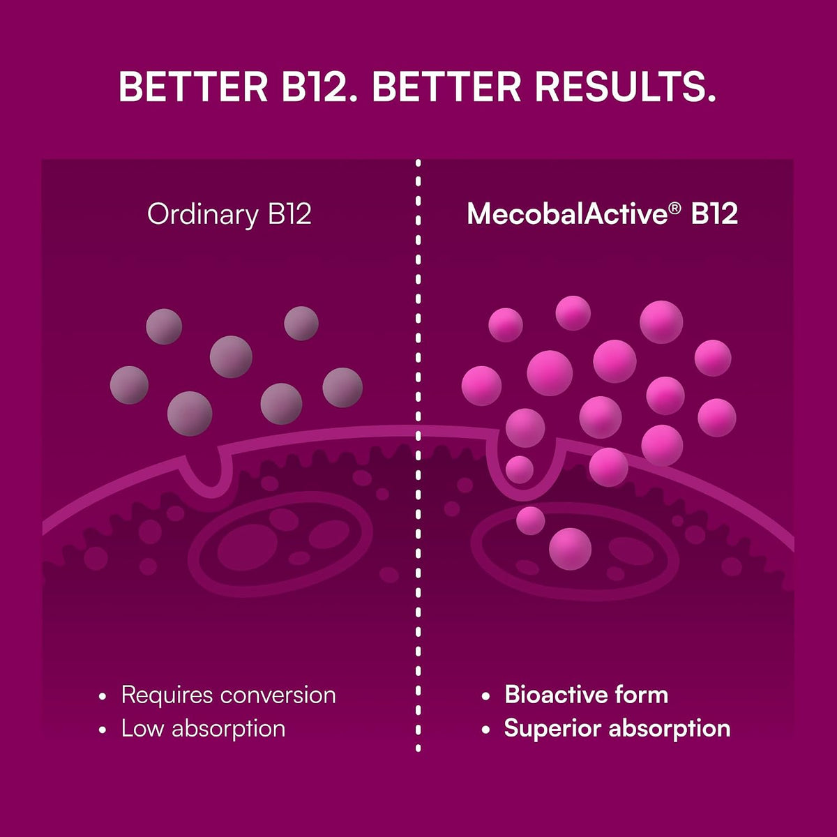 Purity Products MyVitamin B-12 ProClinical – Heart Health: Along with folate and B6, B12 helps regulate – Image 4